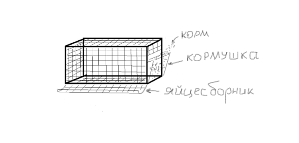  dessin d'un poulailler