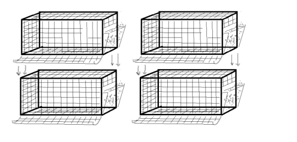  plan cellulaire à deux rangées