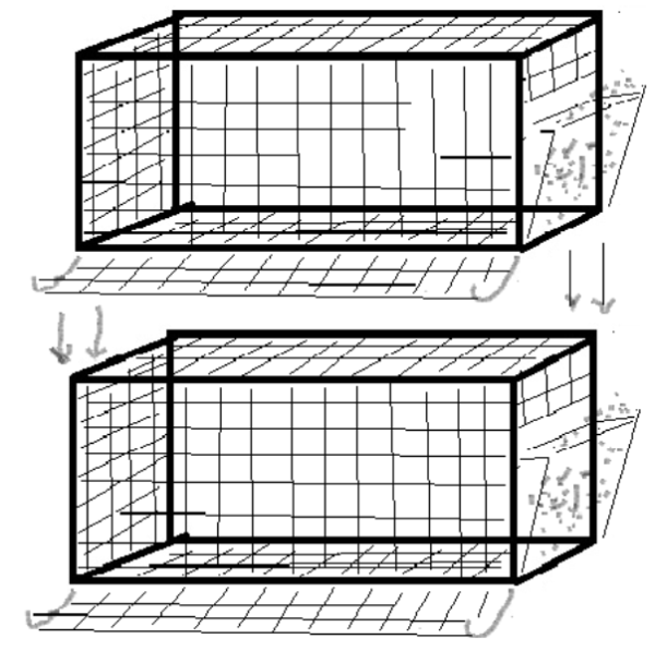  disposition des cellules dans une rangée