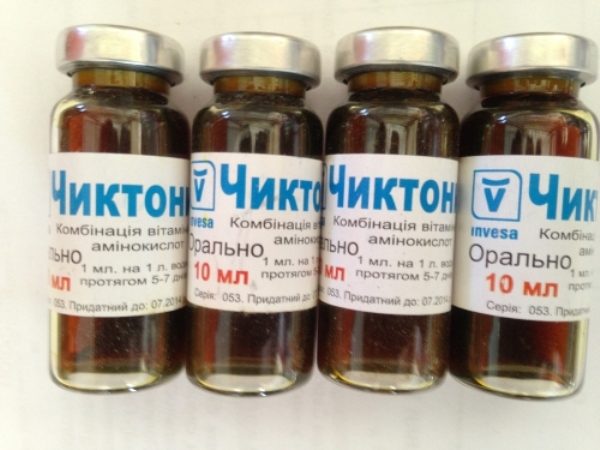  Ampoules Chiktonik