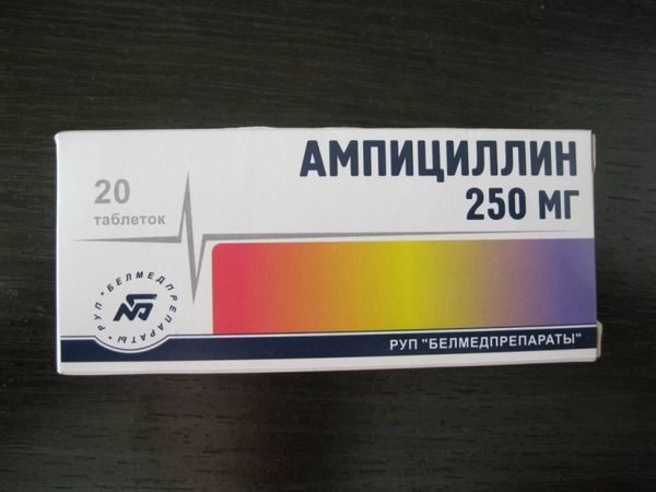  ampicilline