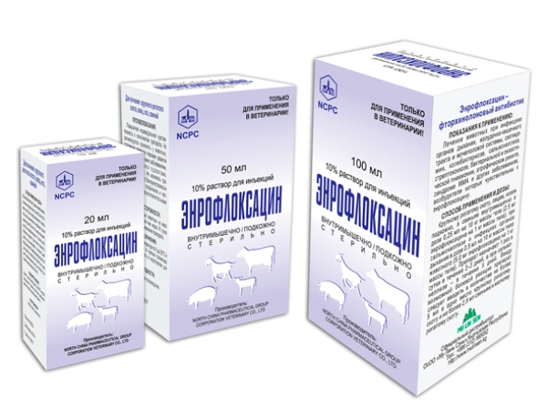  Enrofloxacine