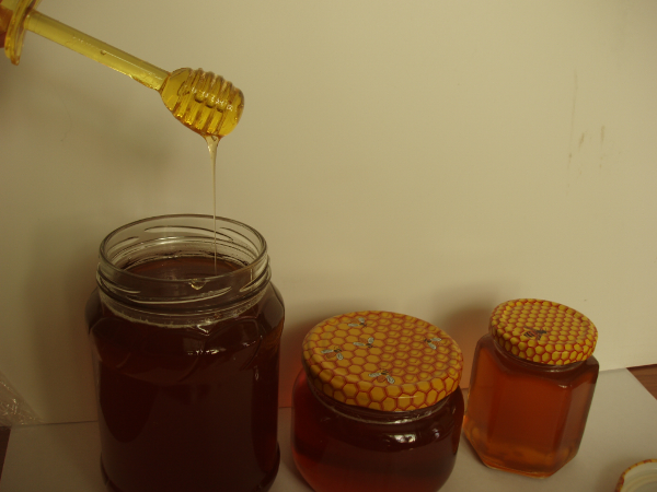  Miel de coriandre dans des bocaux en verre