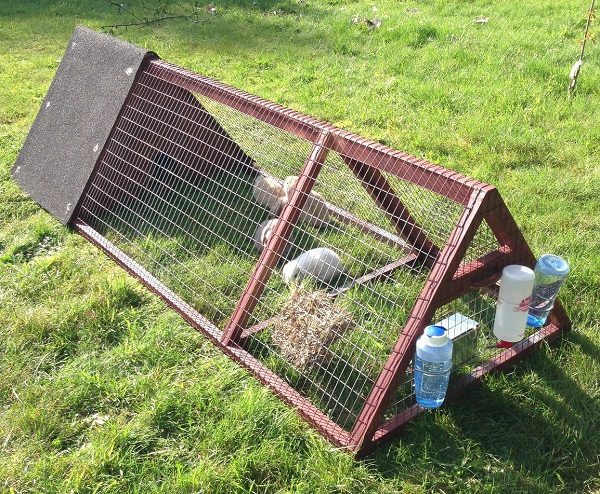  Dispositif pour nourrir et garder des lapins