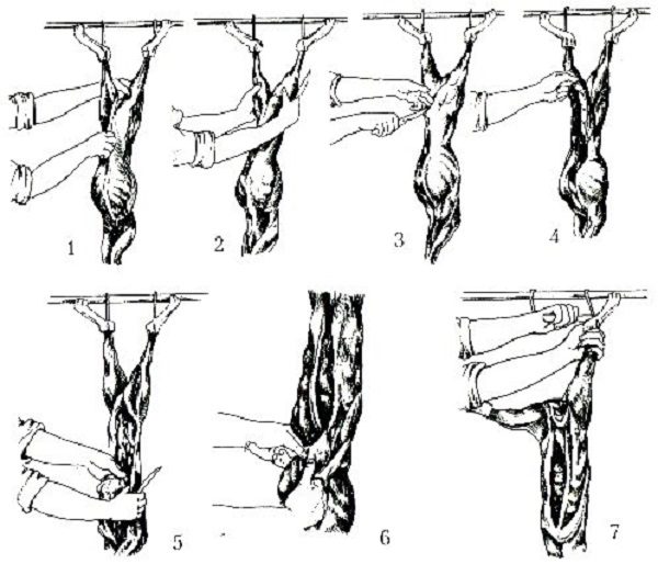  Système de découpe de carcasses de lapin