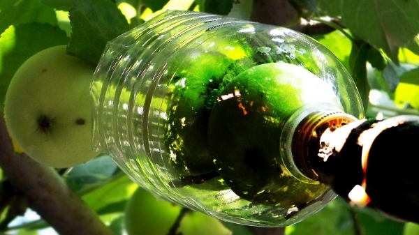  Pour faire un panier de fruits pour les pommes, vous avez besoin d'une bouteille en plastique de deux litres.