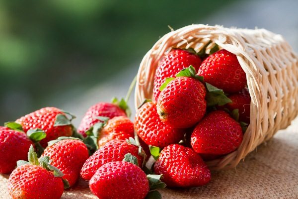  Los beneficios y perjuicios de las fresas para la salud humana.