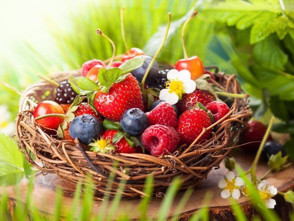  Wilde Beeren in einem Korb