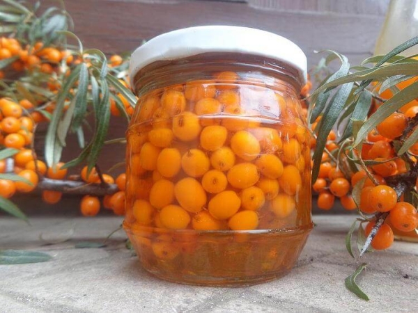  Une des conditions pour stocker l’argousier dans des boîtes de conserve est le manque d’exposition à la lumière, ce qui entraîne la destruction des vitamines.