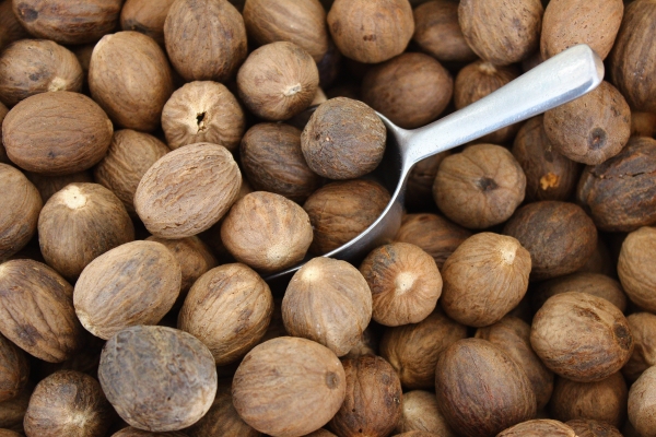  Mit Hilfe von Muskatnuss, Krampfadern und Tuberkulose, Entzündungsprozessen von Leber und Milz, katarrhalischen und viralen Erkrankungen wird die Enuresis behandelt.