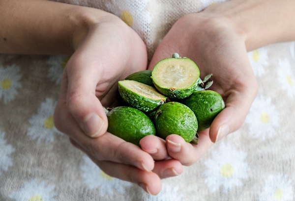  Feijoa est particulièrement utile à la 12ème semaine de grossesse.