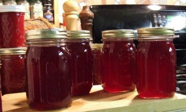  Le jus de virage sur les berges pour l'hiver