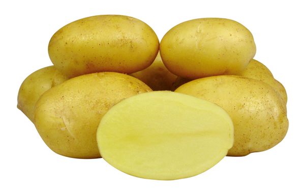  Les tubercules de catégorie gelée sont de forme ovale et ont une chair jaune foncé.