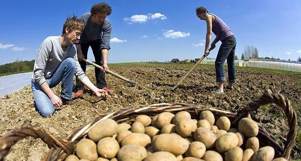  Creuser à la main est un processus très laborieux.