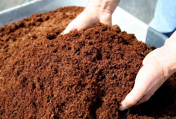  À l'automne, les lits sont fertilisés avec du compost ou de l'humus