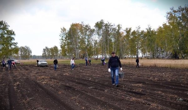  personnes champ de pommes de terre