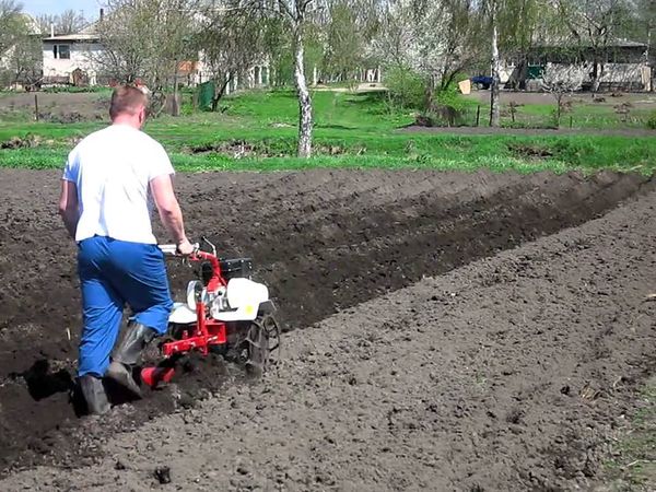  Le printemps est nécessaire pour labourer la terre avant la plantation.