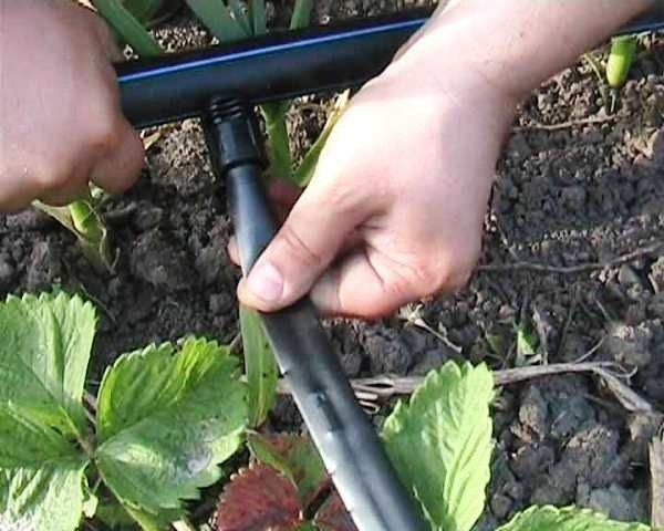  L'épaisseur des parois de la bande doit être de 5-8mm