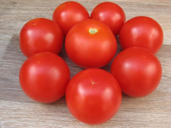  Tomate Sanka