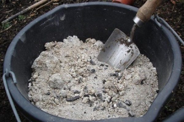  Antes de plantar las plántulas en el agujero agregar ceniza de madera