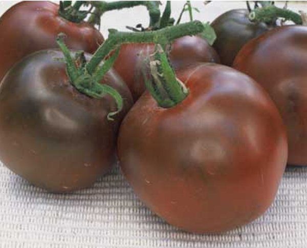  Variedad de tomates Black Prince