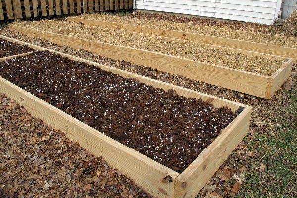  Cama de flores para la siembra de zanahorias.