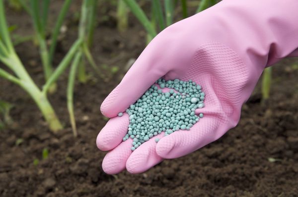  La tasa de aplicación de fertilizantes minerales depende del grado de enriquecimiento del suelo.