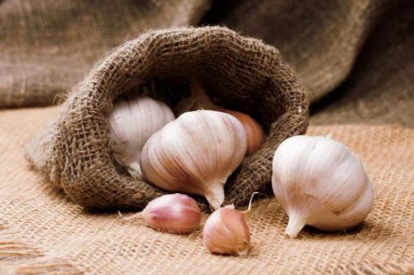  Cabezas de ajo en una bolsa de lona.