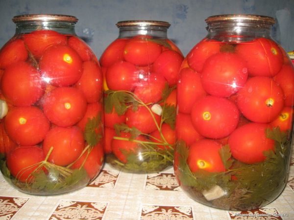  Tomates enlatados variedad Andrómeda