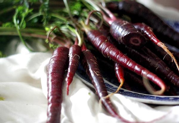  Frutas de zanahoria negra en un plato