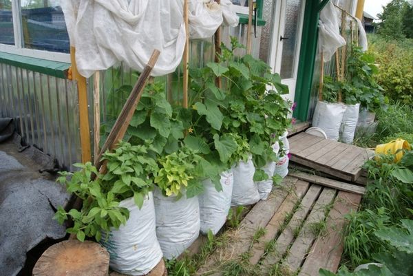  Las bolsas se pueden colocar en la galería, balcón y galería.