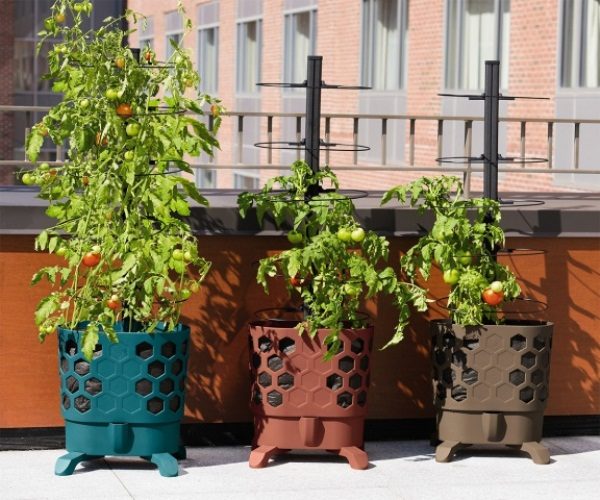  Pour la culture de tomates en intérieur en hiver, choisissez une capacité de 2 litres (pour les variétés naines), 4 litres (pour les variétés de taille moyenne) ou 5 litres (pour les plantes à ampoules)