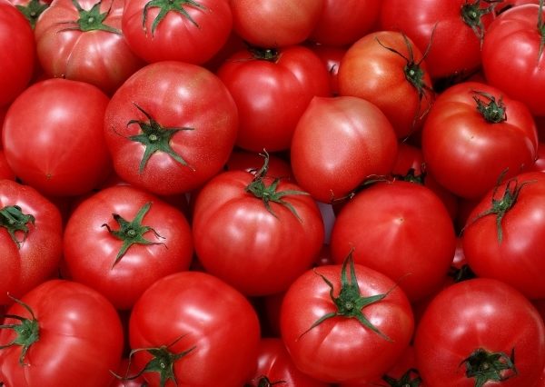  La tomate Hali Ghali a une particularité: un petit bec dans la partie inférieure du fœtus