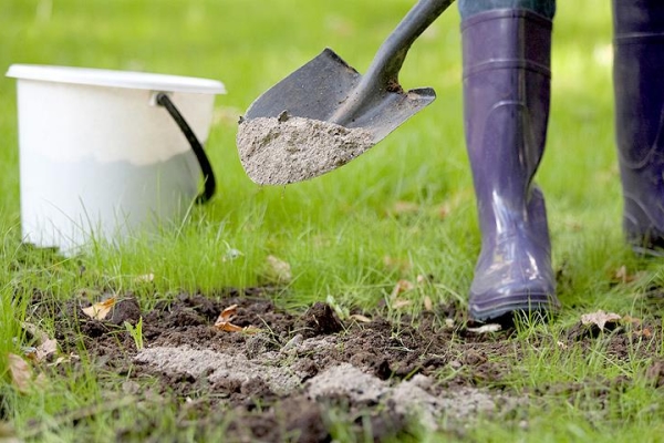  Unas semanas antes de plantar, equipar el suelo con ceniza y humus, desenterrar