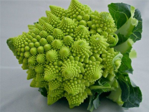  Romanesco grado de repollo