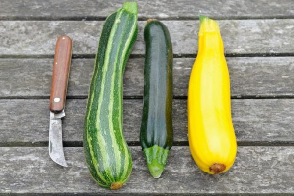  Maduración vegetal, cálida y humectante, baja en calorías, rápida para cocinar