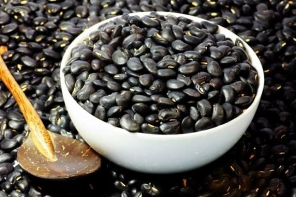  Los estudios sobre la composición de los frijoles negros han demostrado que es el producto más útil de origen vegetal.