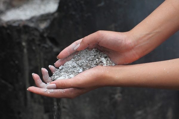  La ceniza de madera - el fertilizante orgánico más popular