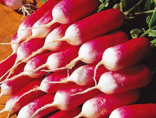  Desayuno Francés De Verduras De La Raíz