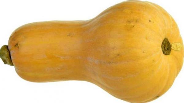  Calabaza Butternat 1.5-3kg