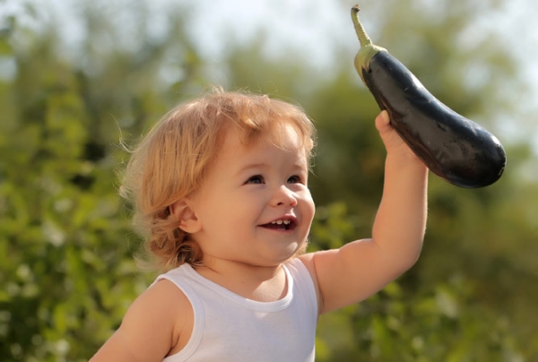  Hasta la edad de un año y medio, es mejor no incluir las berenjenas en el menú infantil, no comer crudo