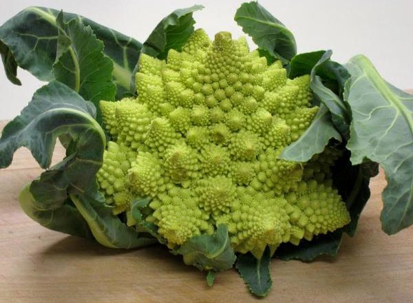  Repollo romanesco