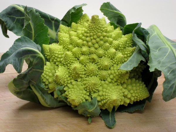  Repollo romanesco