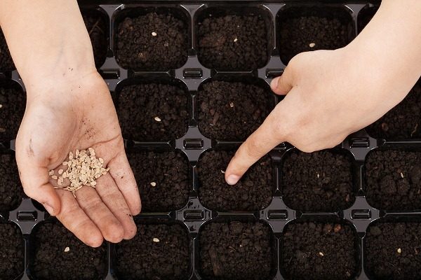  Planter des graines en mars-avril