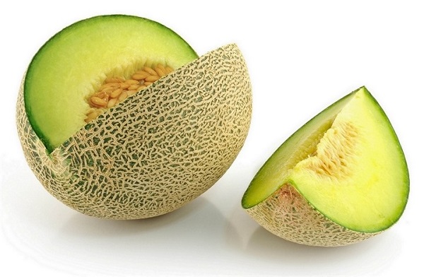  Melón de melón