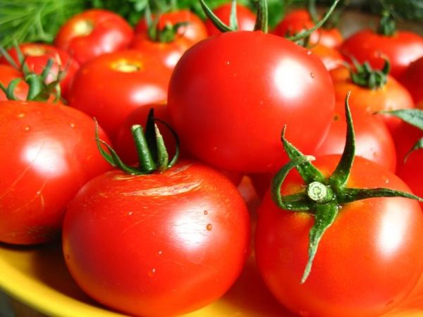  Tomate ferme collective fructueuse