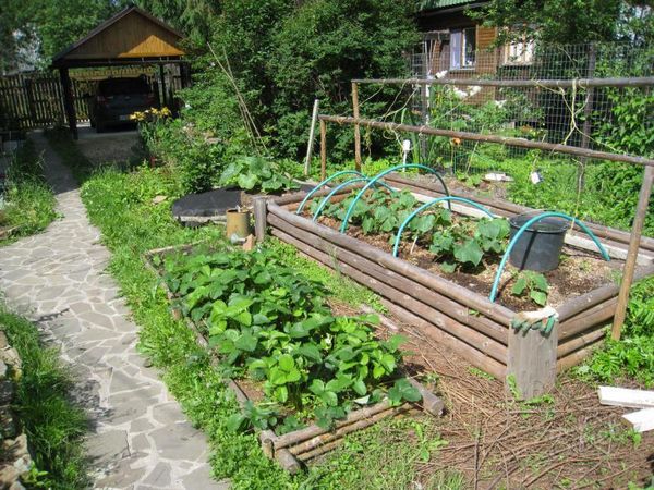  Alto jardín cálido para pepinos.