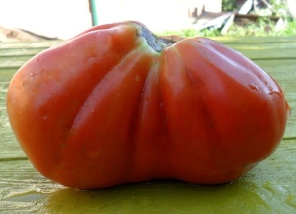  Les fruits sont gros - environ 250-350 grammes chacun