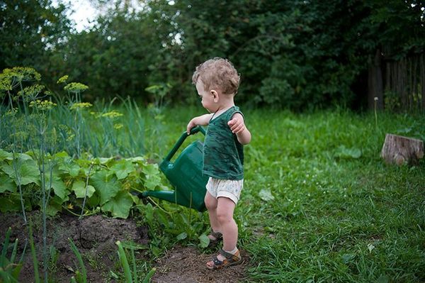  Norma de regar la médula de verduras Kavili - 10l / m2