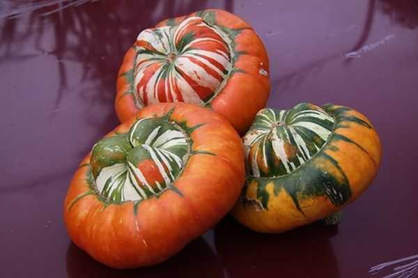  Las frutas de la variedad turca de turbante tienen una forma inusual de turbantes.